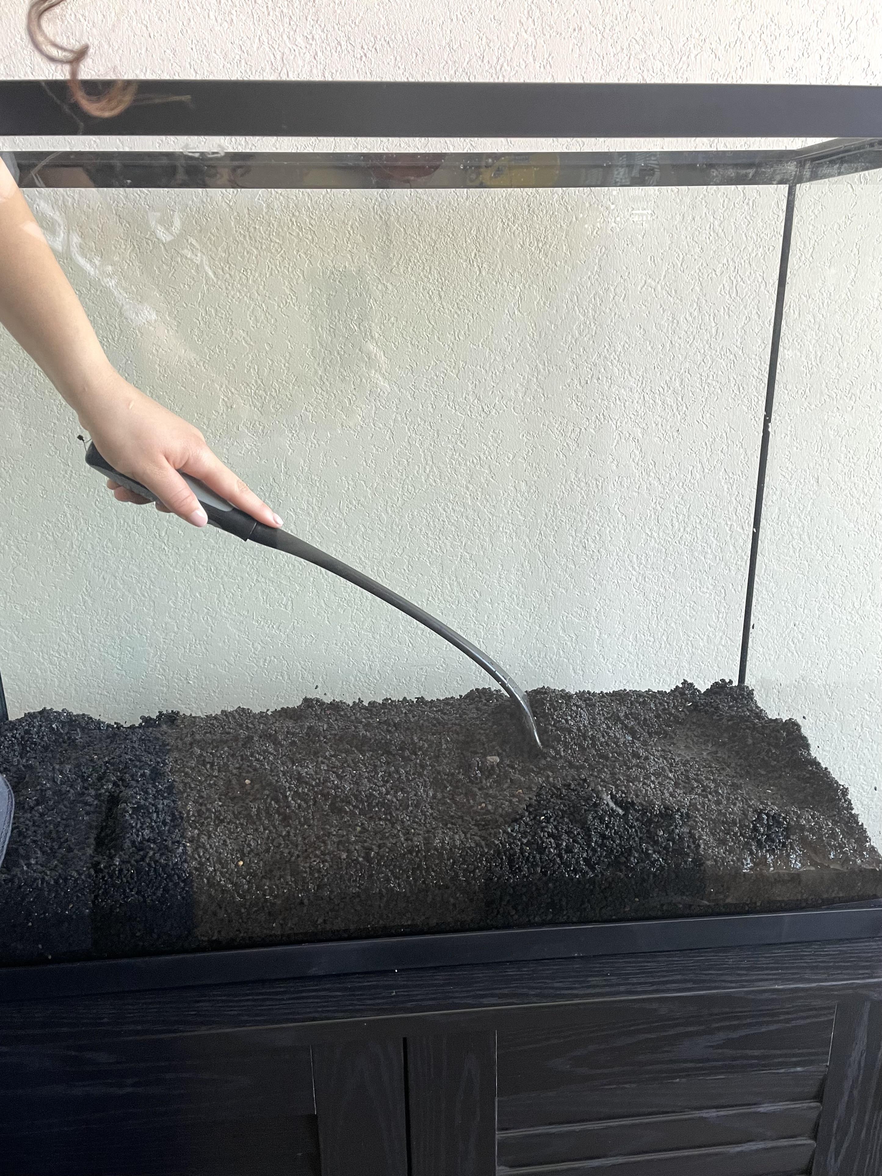 fish tank_6.jpg