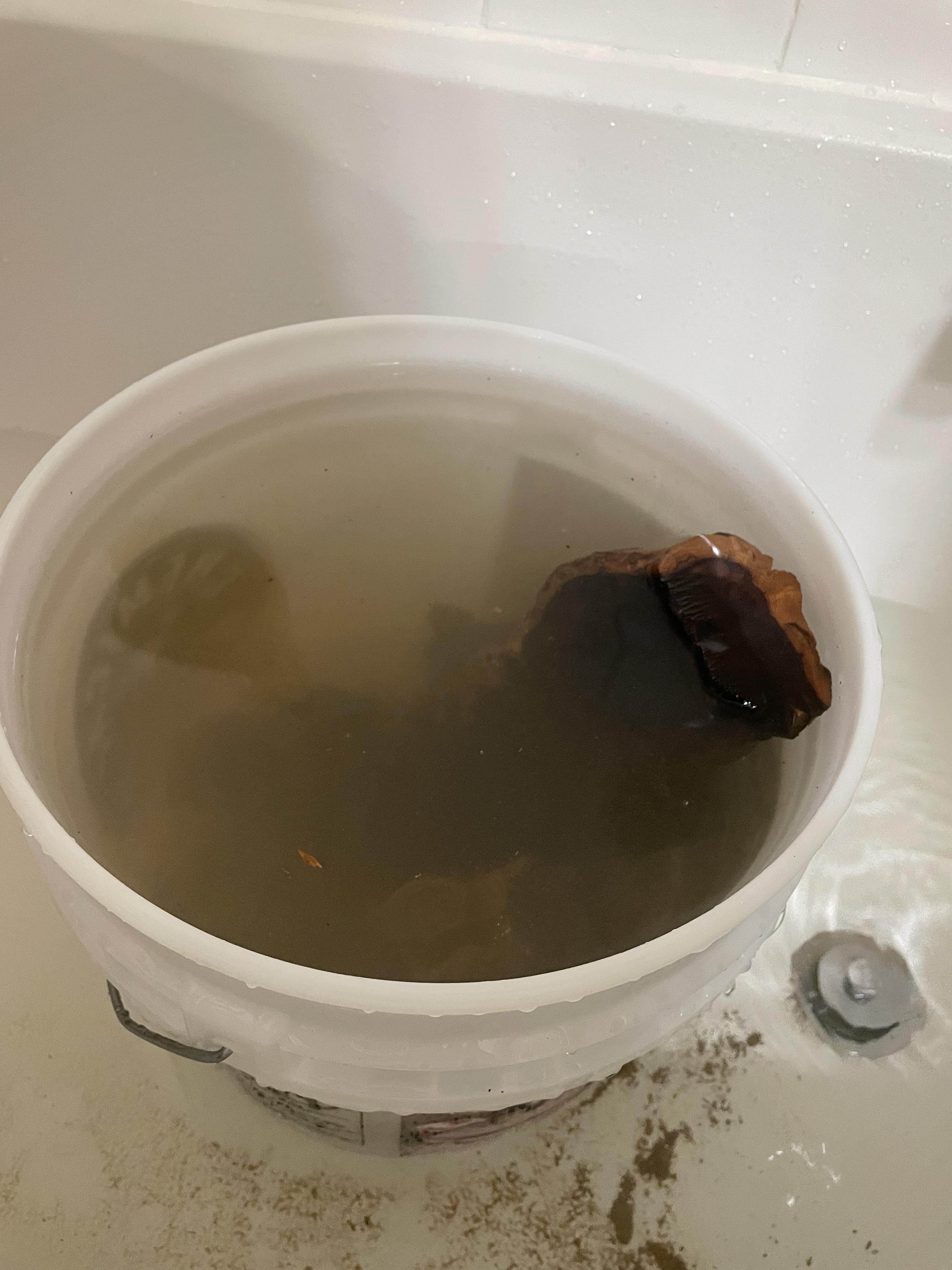 fish tank_8.jpg