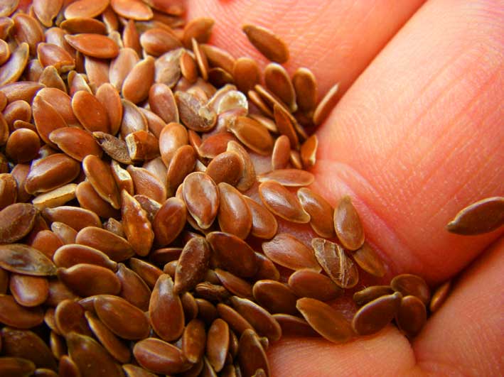 flaxseeds.jpg