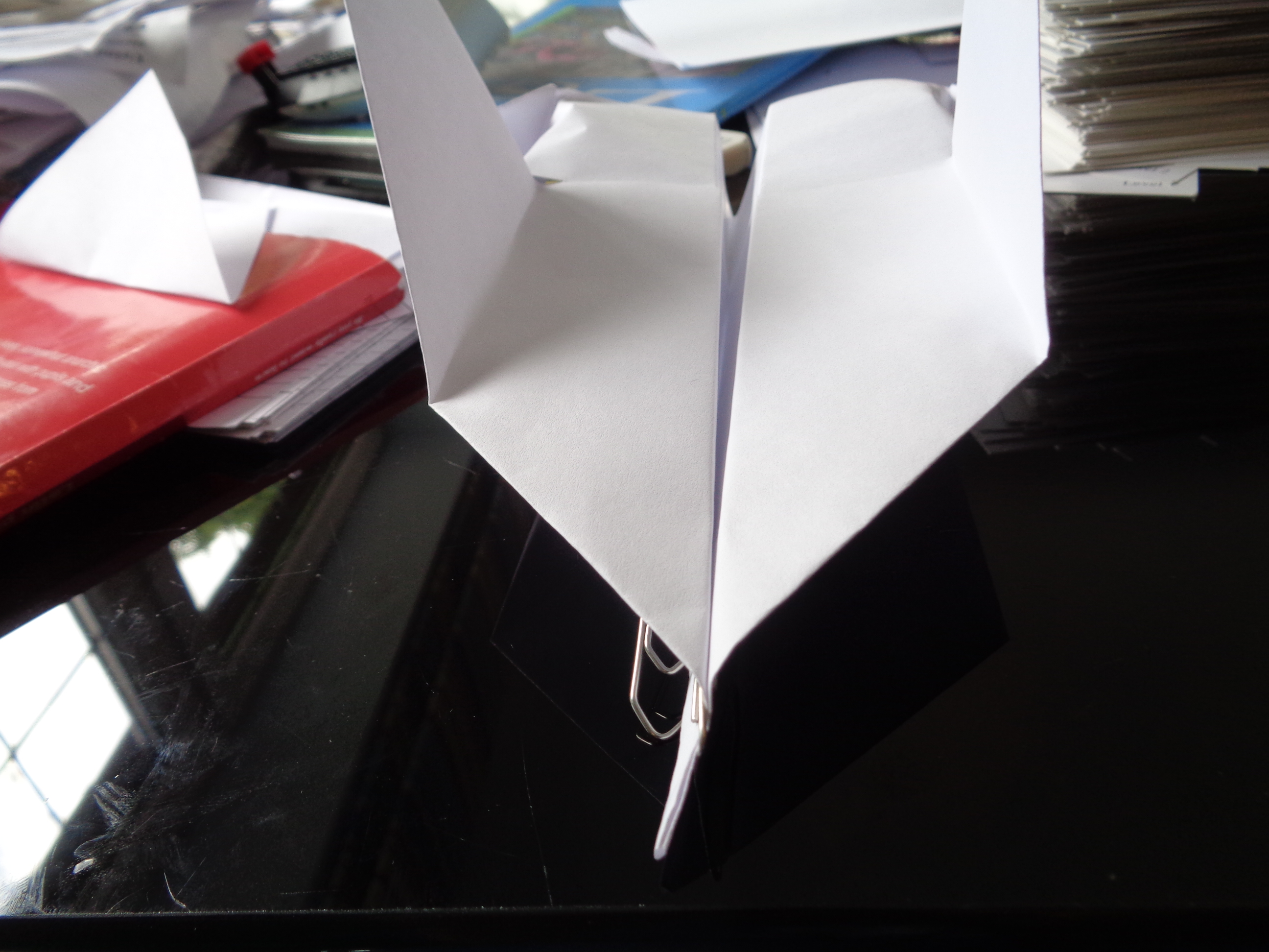 floating paper plane (2).JPG