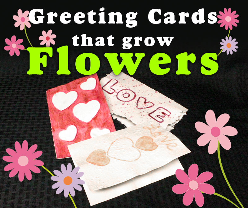 flower-cards.jpg