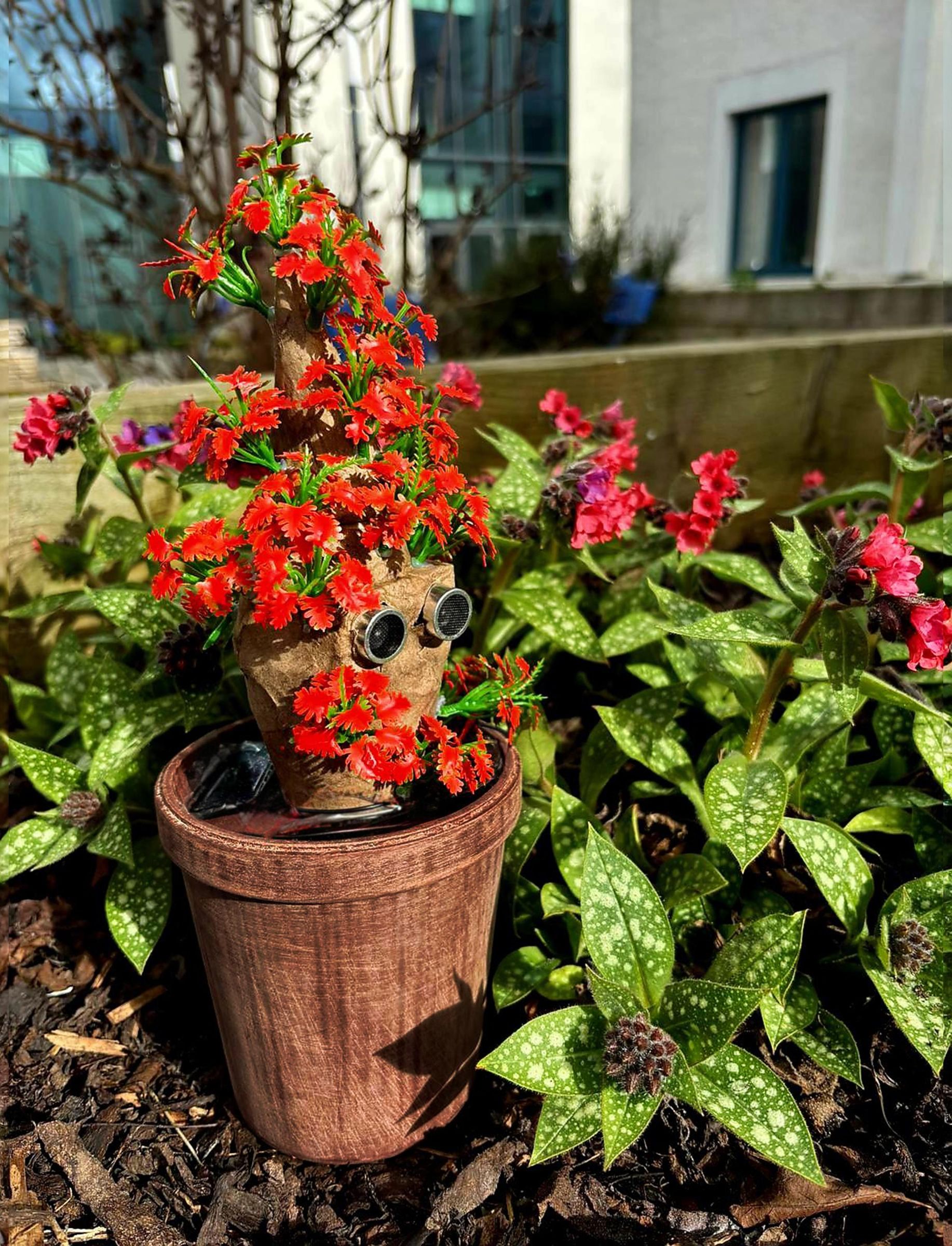 flower.jpg