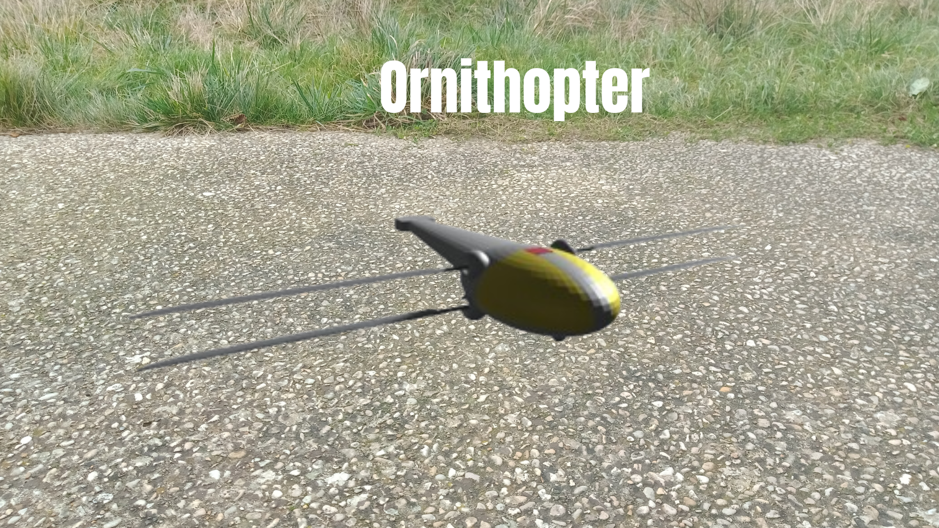 fond ornithopter (1).png