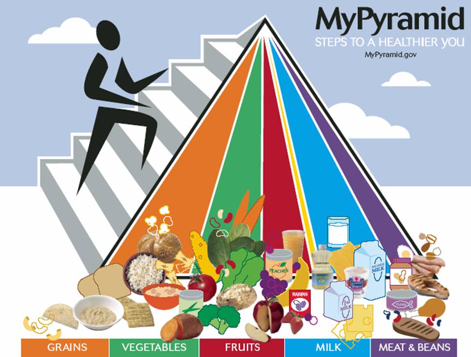 foodpyramid.jpg