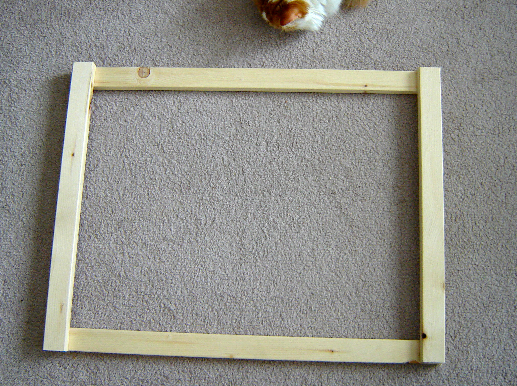 frame.jpg