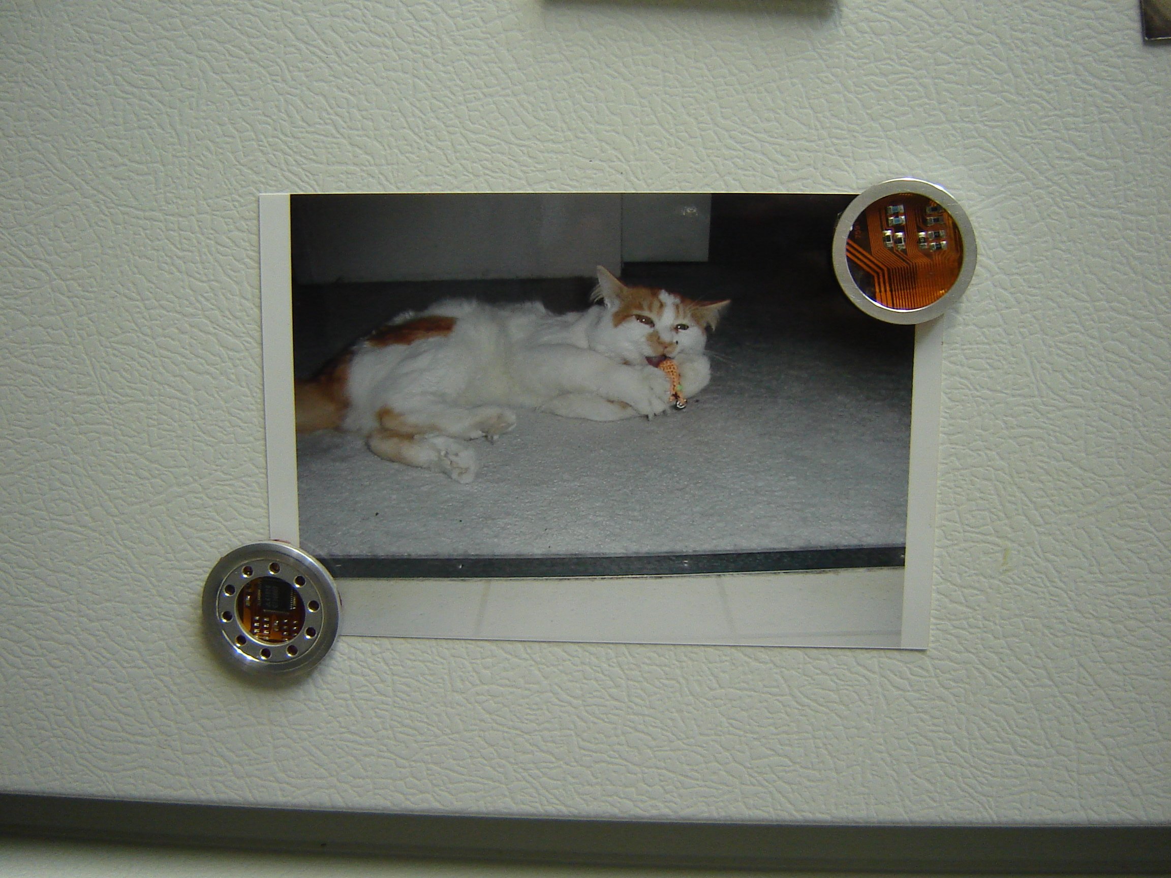 fridgemagnets.jpg