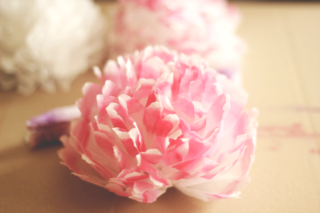 from panka with love paper flowers from tissue paper.png