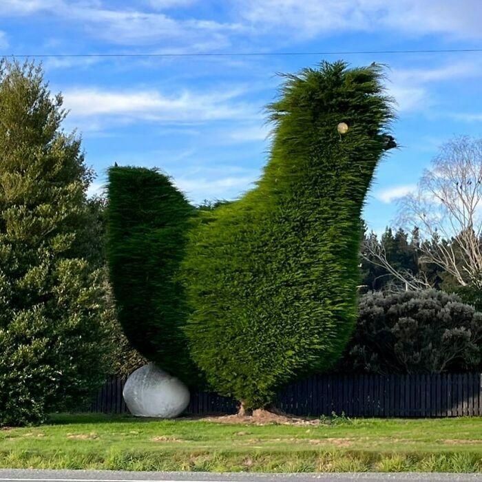 funny-bad-garden-pictures-62c56d00bd585__700.jpg