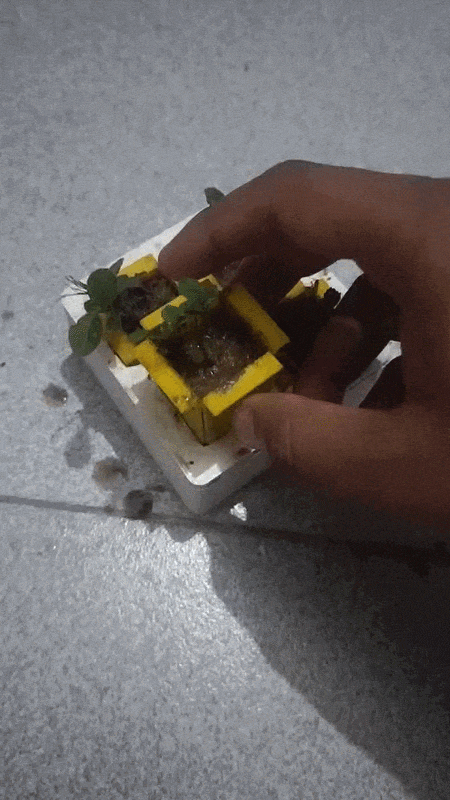 g5.gif