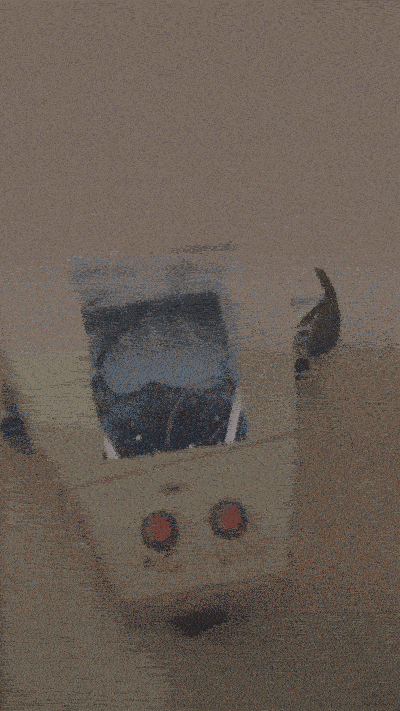 gif8.gif