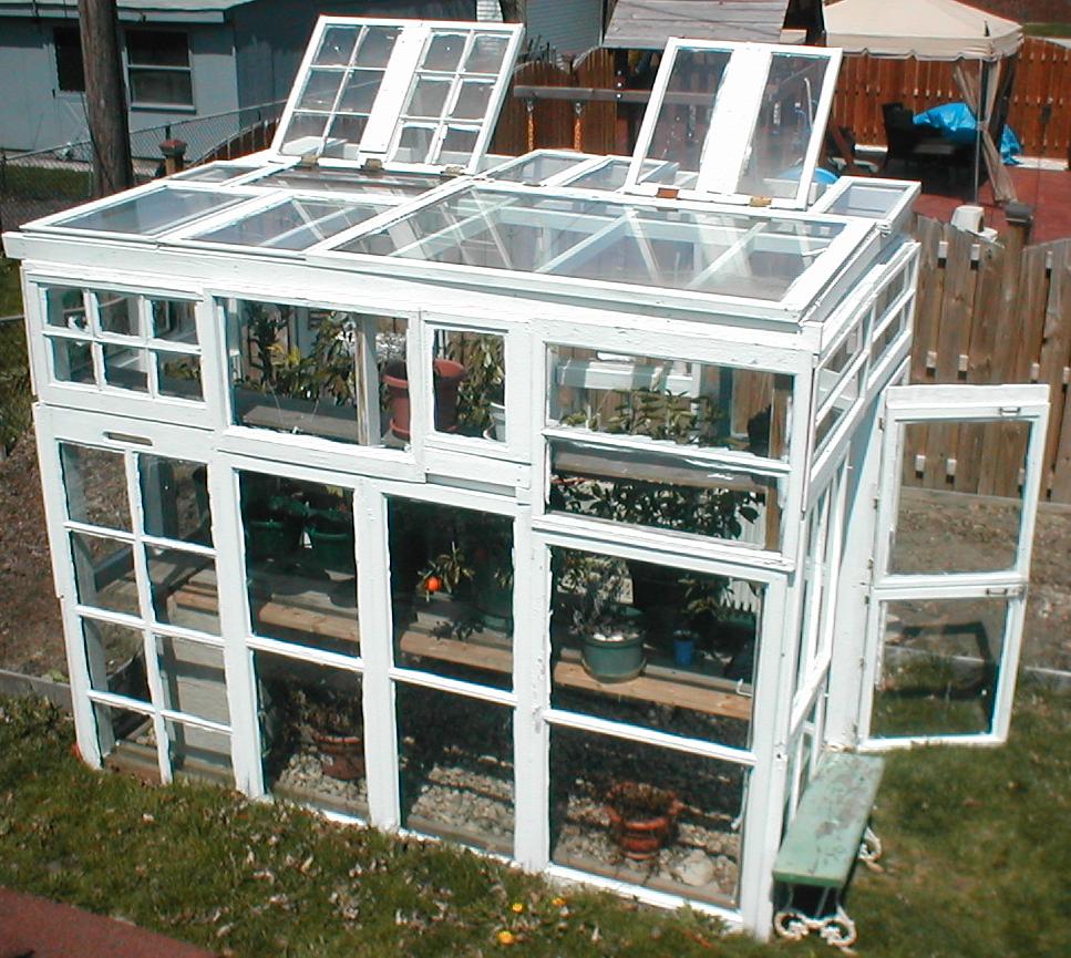 glassroof.JPG