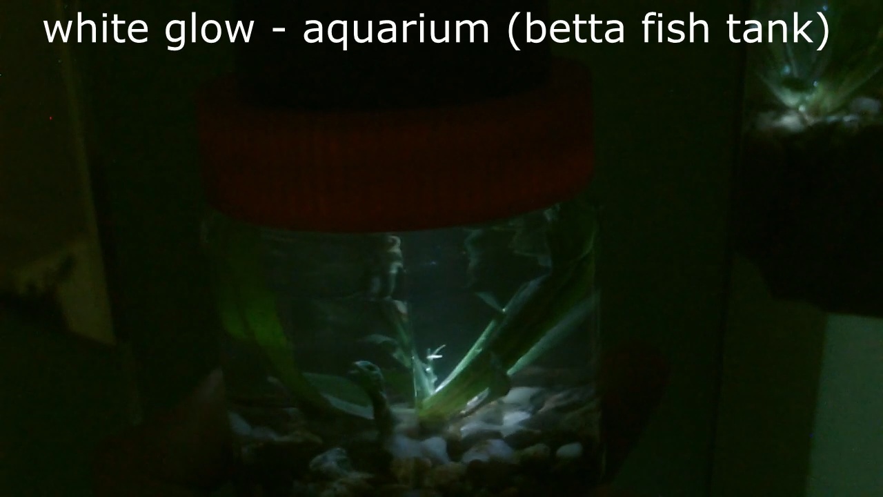 glowlightpic10.jpg