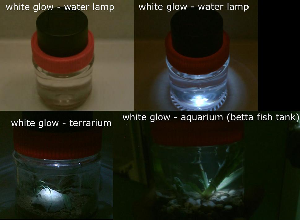 glowlightpic54.jpg