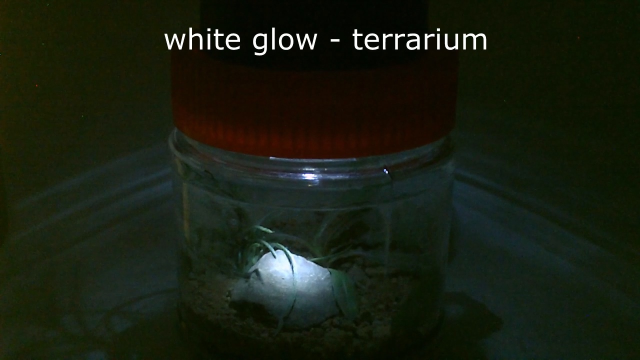 glowlightpic7.jpg