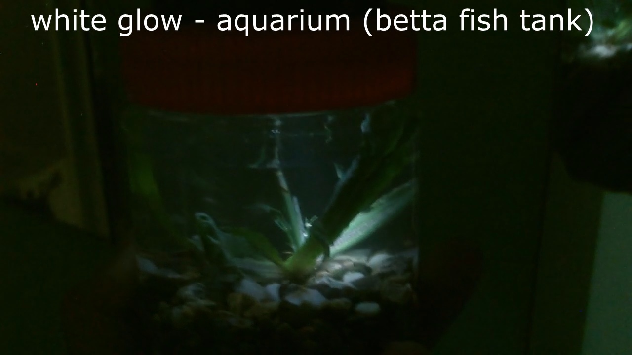 glowlightpic8.jpg
