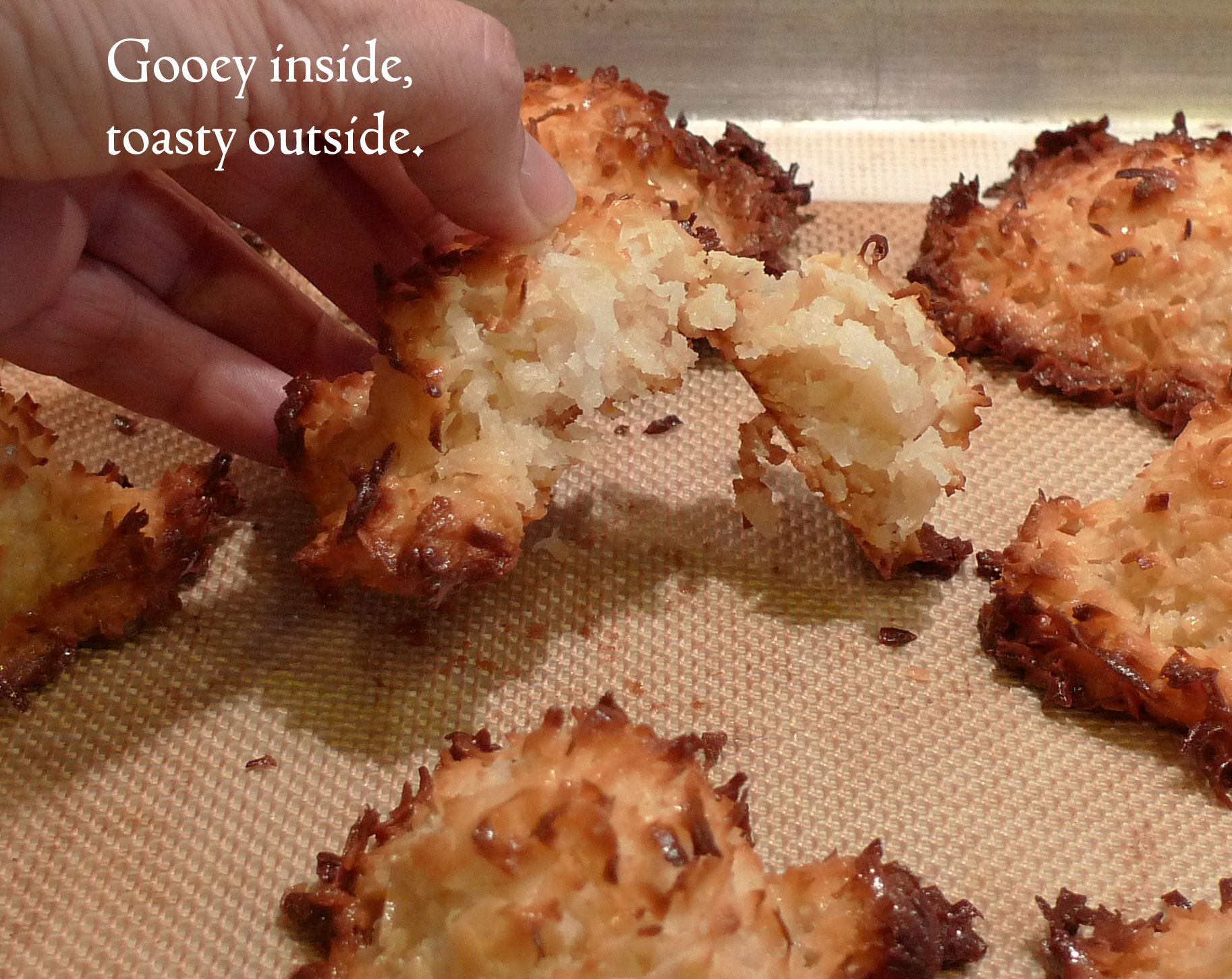 gooey insides.jpg