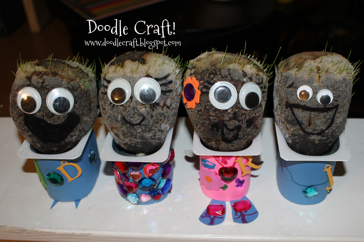 grass heads seedlings growing hair chia pets heads.jpg
