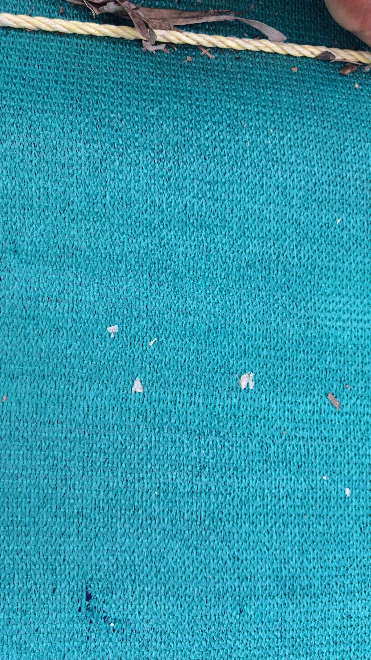 green shade net.jpg