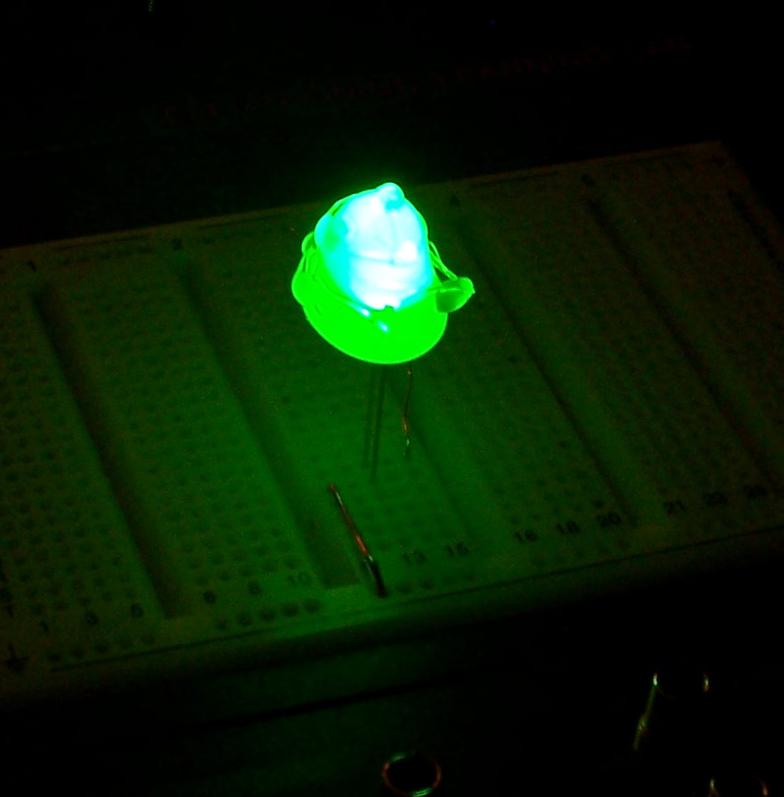 green2.JPG