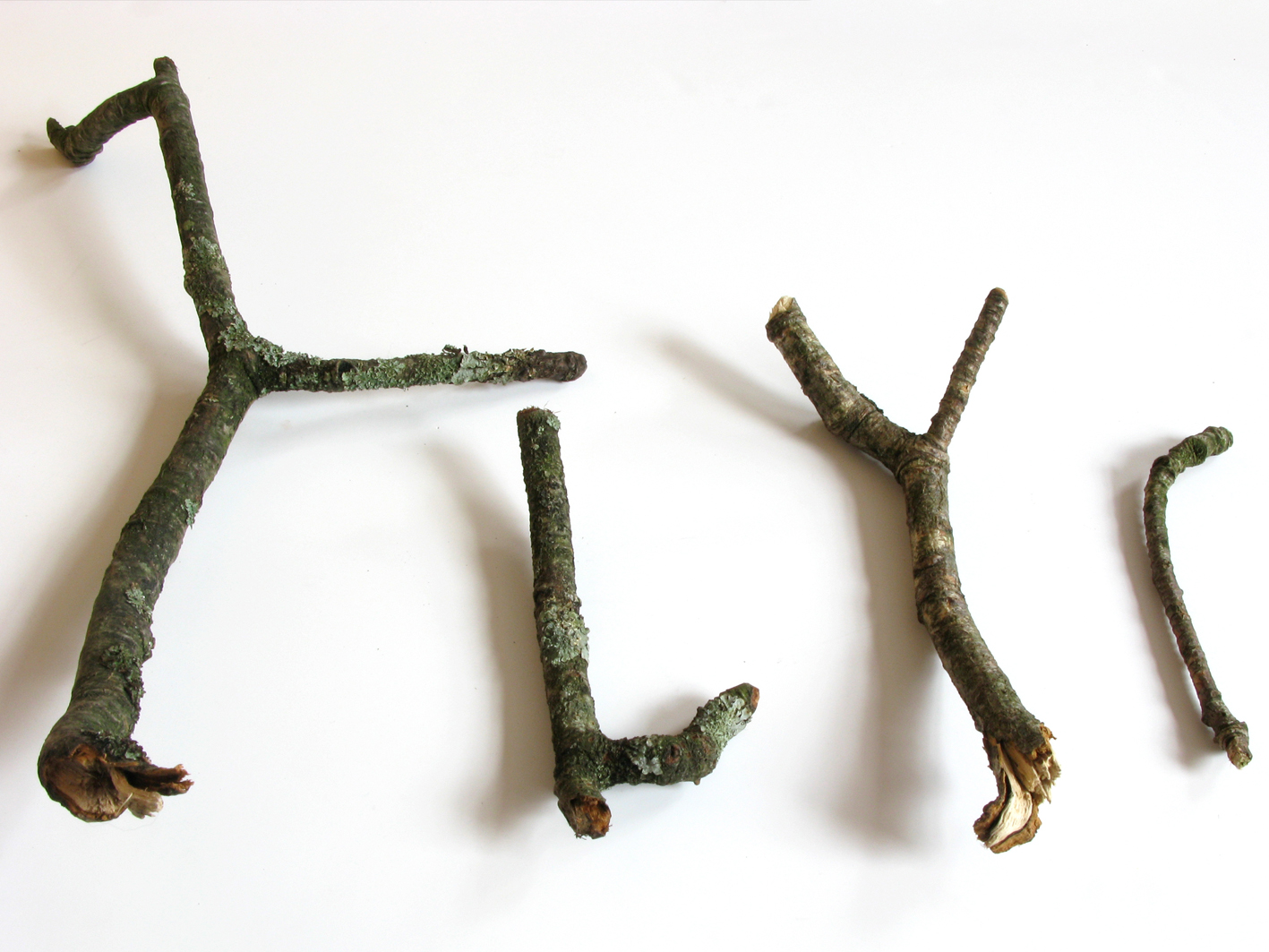 group of TWIGS.jpg