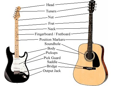 guitaranatomy.jpg