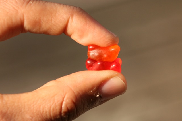 gummi6.jpg