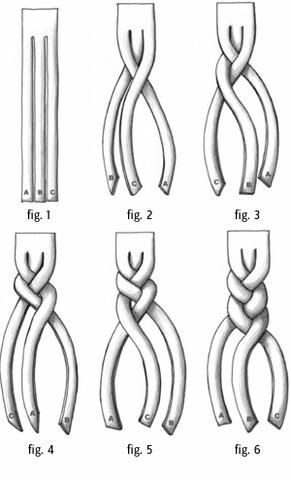 hair illustration.jpg