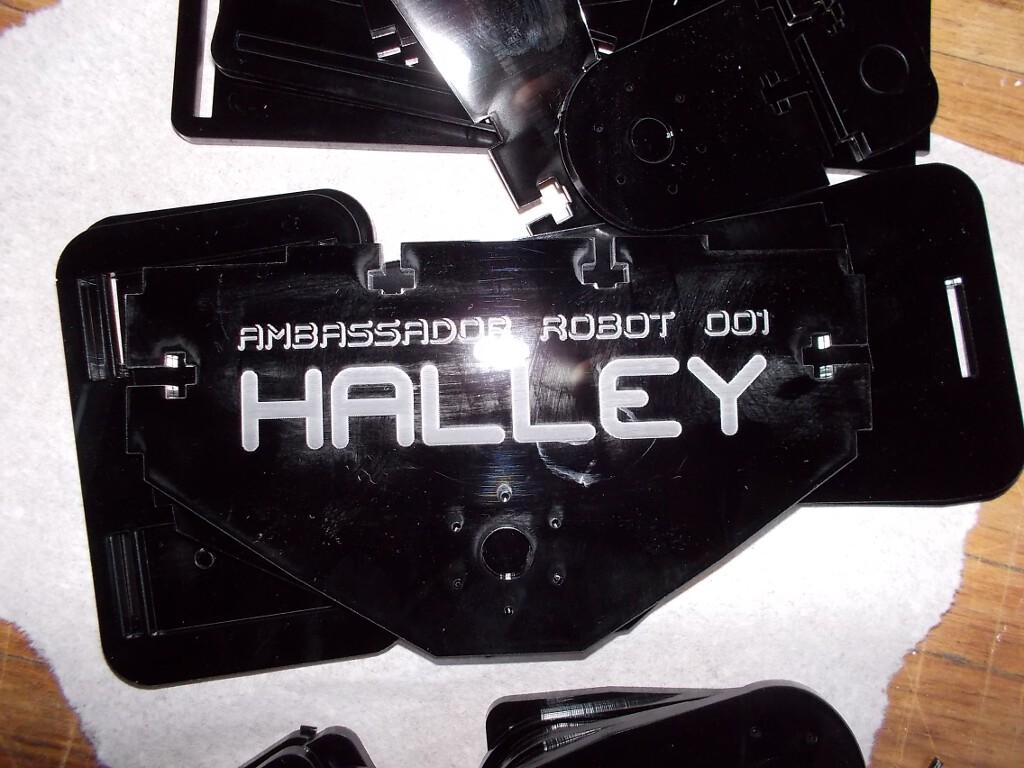 halleybuildDSCN4300.jpg