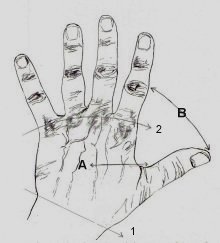 hand_drawing5.jpg