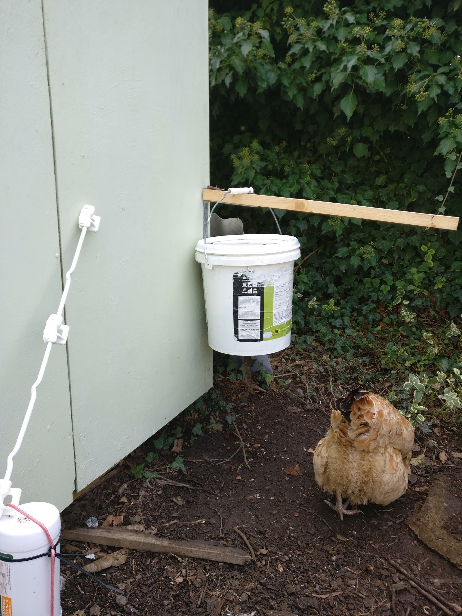 hanging bucket.jpg