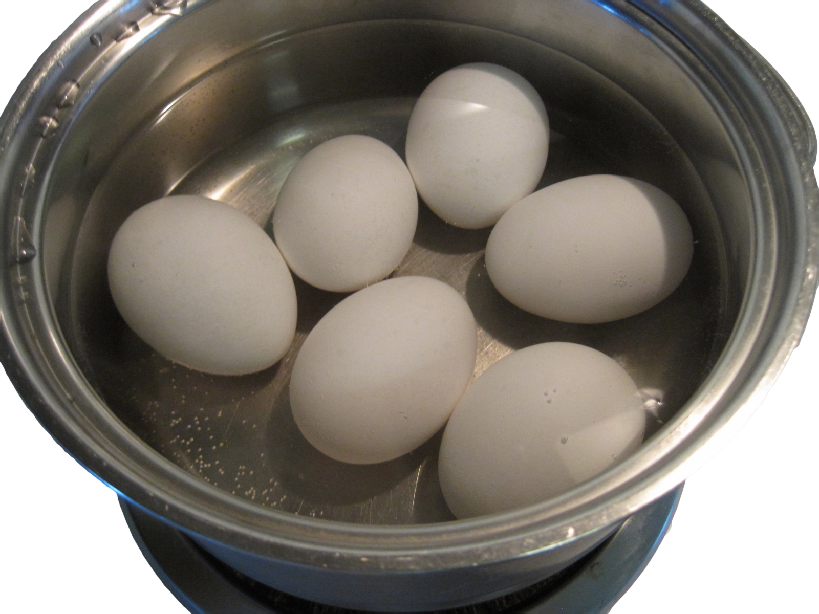 hard boiled eggs (2).png