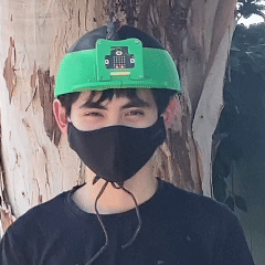 hatok.gif