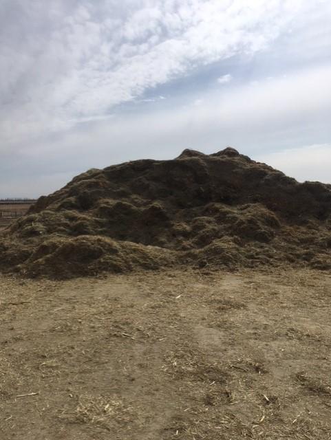 hay.jpg
