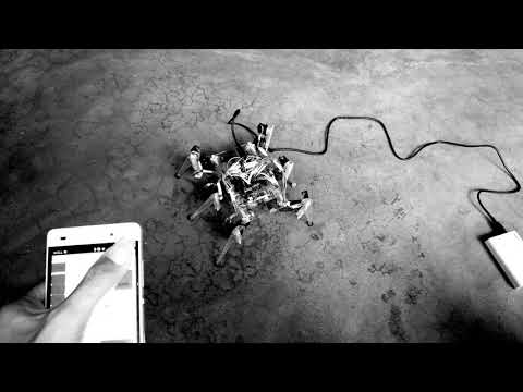 hexapod( the six leged walking spider)