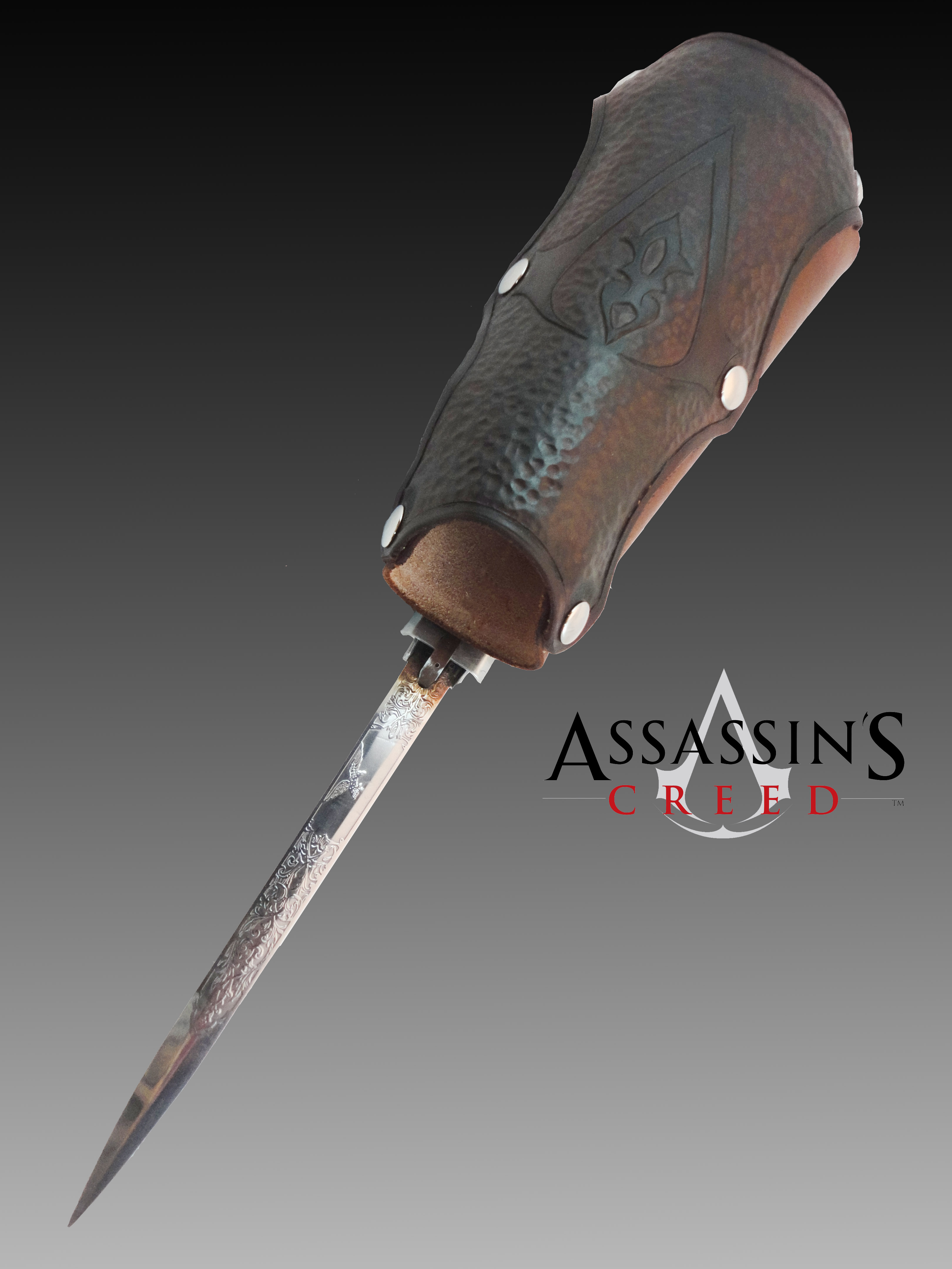 hiddenblademaster2.jpg