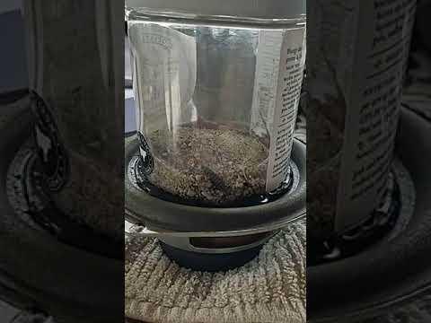 homemade vibratory parts cleaner in action