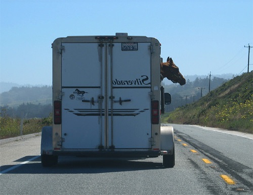 horsetrailer.jpg