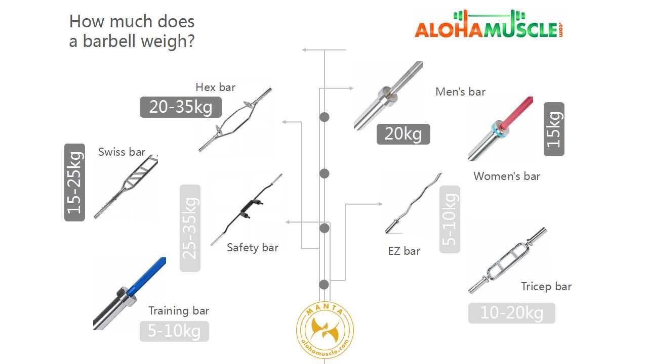 how much does a barbell weigh.jpg