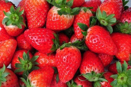 how to grow strawberries indoors4.jpg