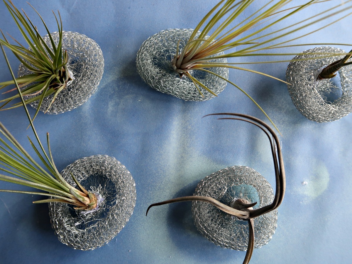 how to make adorable air plant and wire jellyfish 11.jpg