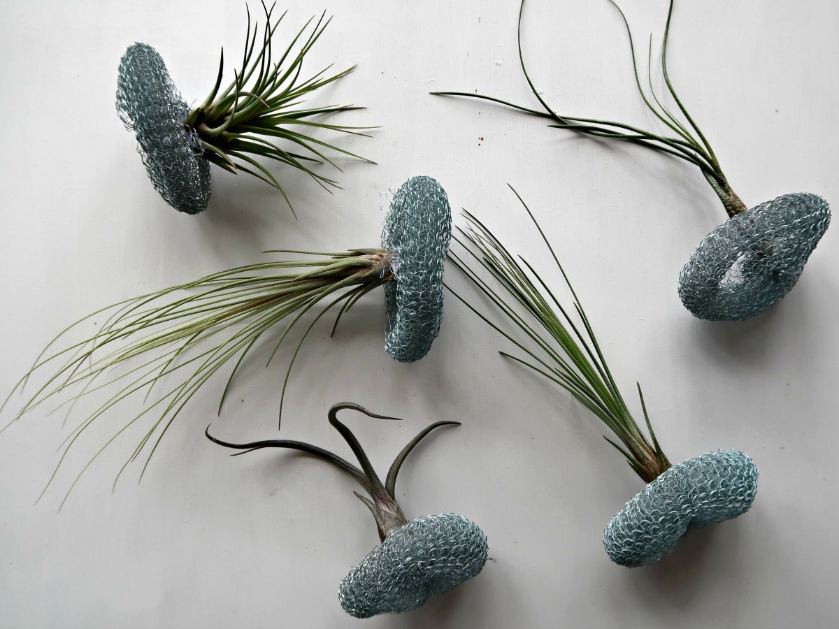 how to make adorable air plant and wire jellyfish 12.jpg