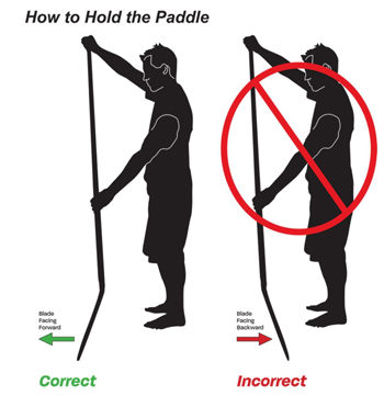 how-to-hold-paddle-board-paddle.jpg