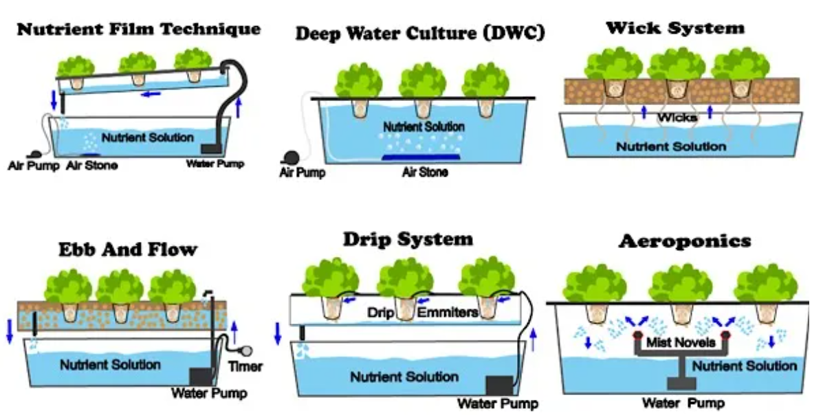 hydroponicsystems.png