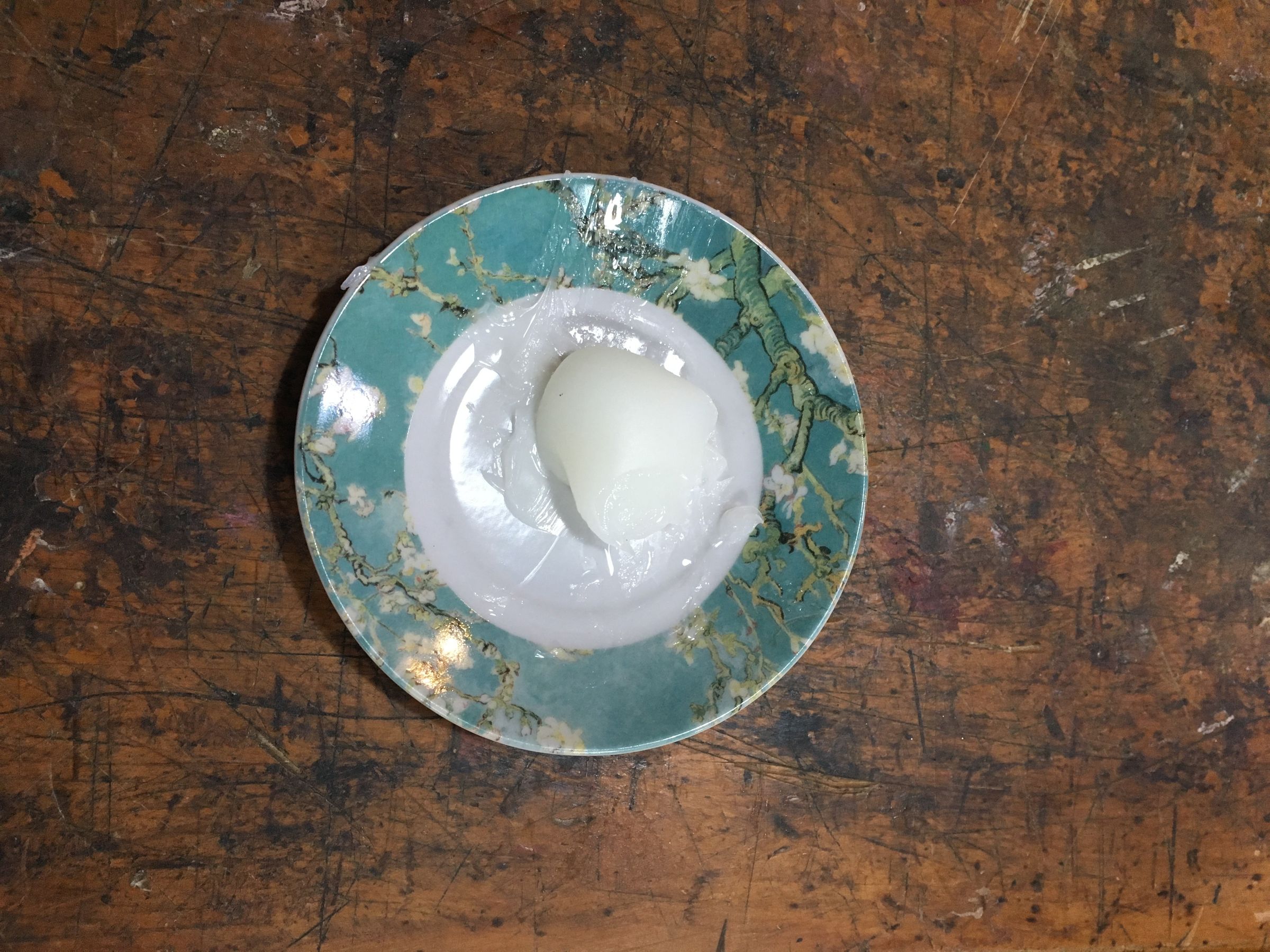image1.JPG