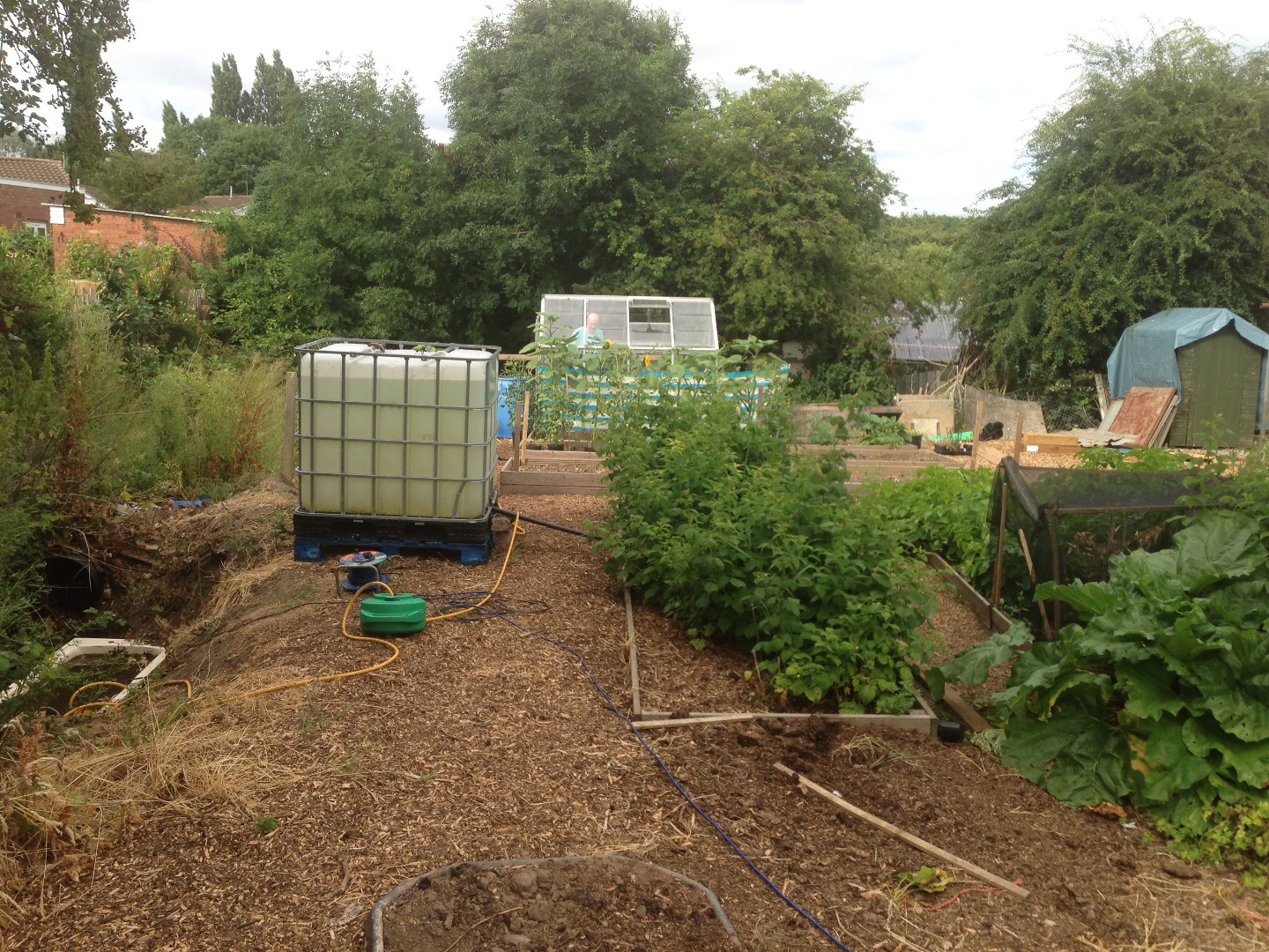 image117.jpg
