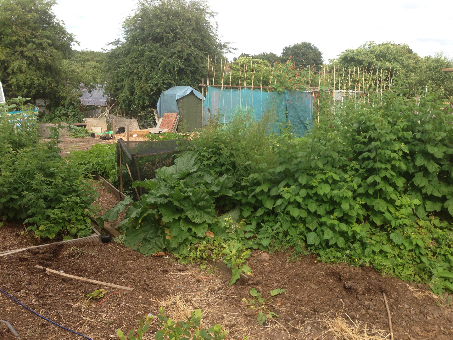 image118.jpg