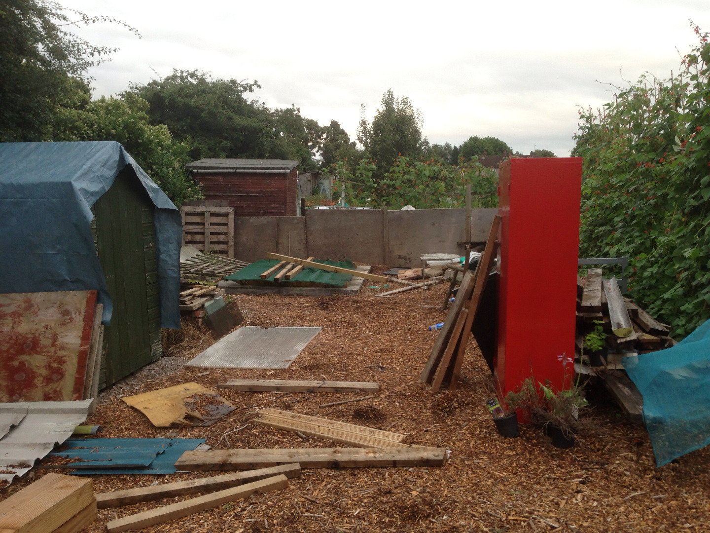 image121.jpg