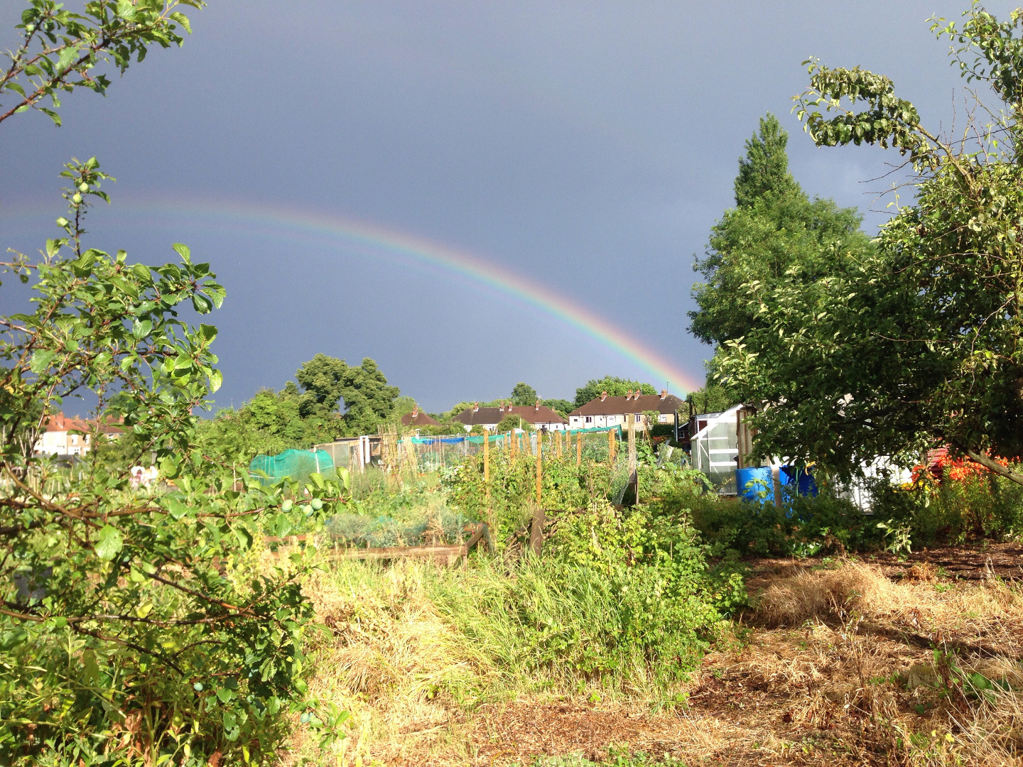 image266.jpg