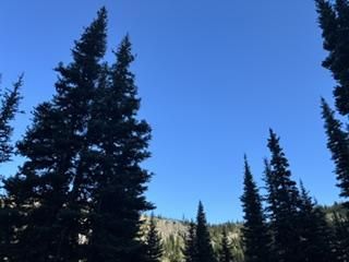 image3-12.jpeg