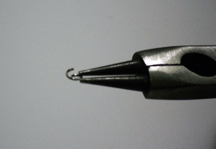 image3.jpg